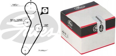 ENGRANAJE DE DISTRIBUCIÓN + BOMBA RENAULT CLIO 1.4 98-00, KANGOO 1.4  