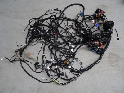 Жгут электропроводка салона отсек dacia spring фото №1