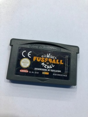 Gra Nintendo Game Boy Advance Die Wilden Kerle Fussball