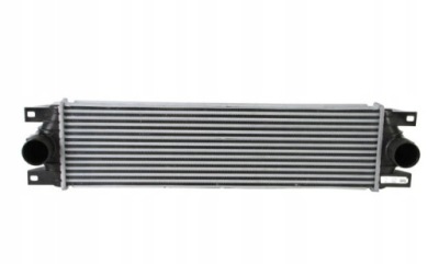Радіатор повітря інтеркулер srline interstar 6041j8-1 фото №1