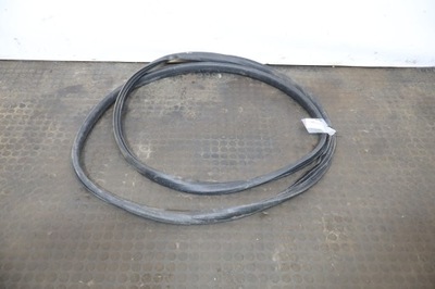 Прокладка двері ліва передня renault t 460 e6 фото №1