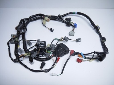 INSTALACIÓN JUEGO DE CABLES ELÉCTRICA HONDA CBR 600RR PC37 05-06 EW42  