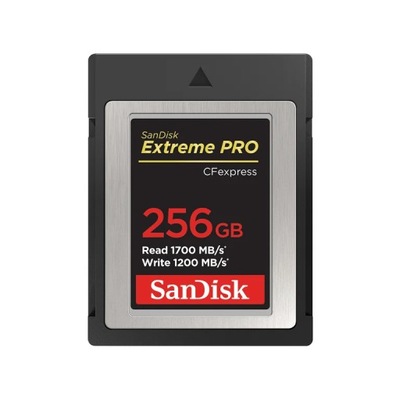 SanDisk SDCFE-256G-GN4NN pamięć flash 256 GB CFexpress