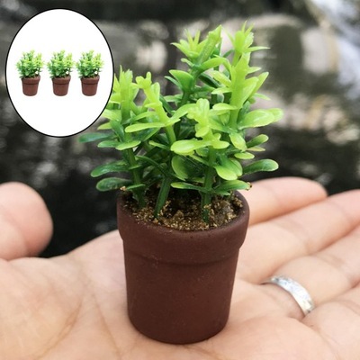 3 . Miniaturowe rośliny doniczkowe dla