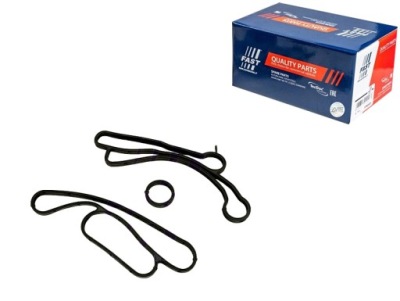 Fast ft48938 прокладка, радіатор масляна фото №1