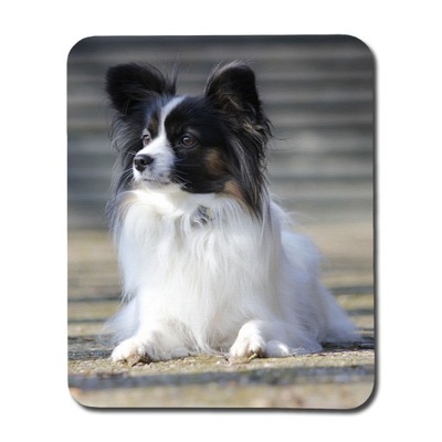 Papillon Dog Podkładka pod mysz