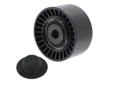 SKF POULIE LIBRE DE COURROIE WIELOROWK. RENAULT 2,0DCI 05- - milautoparts-fr.ukrlive.com