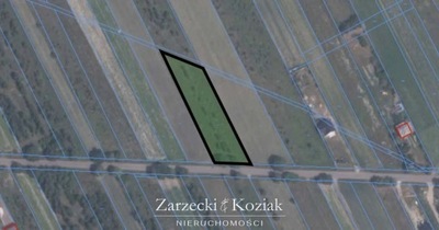 Działka, Turzyn, Brańszczyk (gm.), 2000 m²