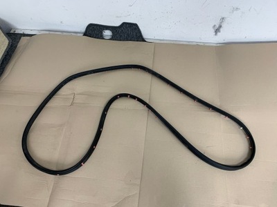 Ford mustang mach-e rwd 21r прокладка двері лівий задня задня фото №1