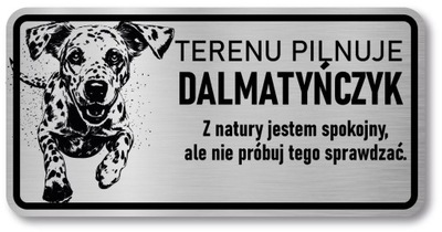 Tabliczka ostrzegawcza Uwaga pies Dalmatyńczyk