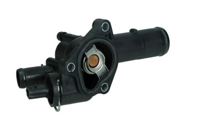 TERMOSTATO RENAULT 89C 1,5DCI 7123.89J  