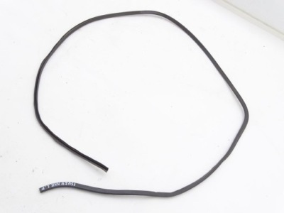 Isuzu nkr npr nqr 93-03 прокладка двері ліва фото №1