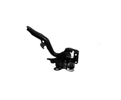 CHARNELA DE CAPO LEXUS RX350/450H 09-- 5342048090 IZQUIERDO  