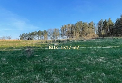 Działka, Buk, 1312 m²