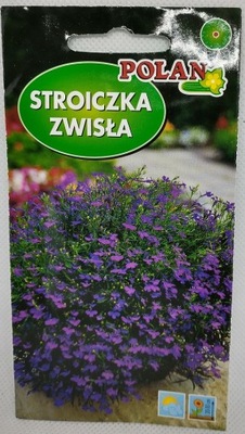 Stroiczka Zwisła