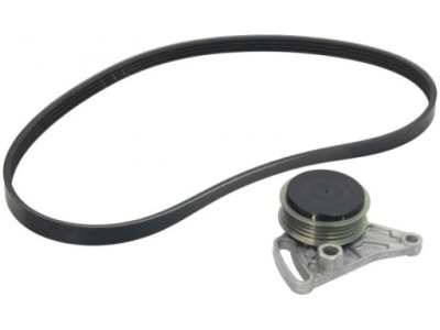 Ina набор ремень многоручейковый vw 1,6/1,9tdi фото №1