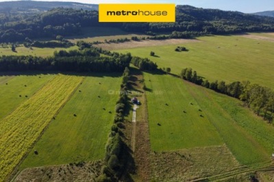 Działka, Różanka, Międzylesie, Kłodzki, 7800 m²