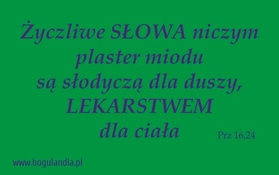 Magnes 66 na lodówkę Życzliwe SŁOWA niczym plaster