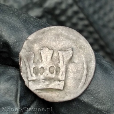 halerz 1482-1520, Zgorzelec