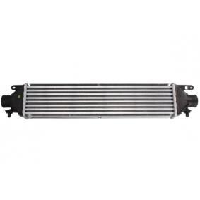 GRANDE PUNTO 2005- RADUADOR AIRE INTERCOOLER  