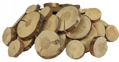 Plastry drewna zestaw 25 szt 6-16 cm Iglaste