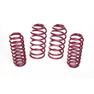 SPRING SPORTS TYPE VOGTLAND MINI CLUBMAN, TYPE N, R55, INCL. UKL-K  