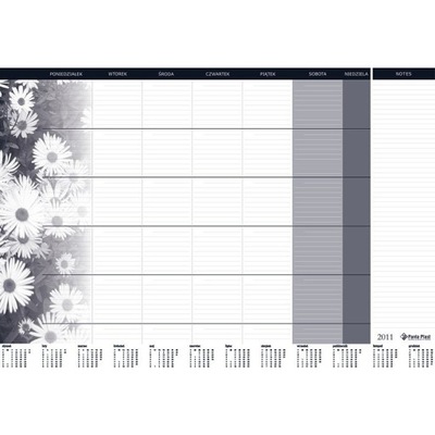 BIUWAR wkład miesięczny 470x330mm 0318000799 PANTA PLAST