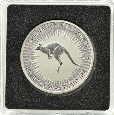 Australia - kangur, 100 dolarów 2020 - 1 uncja platyna