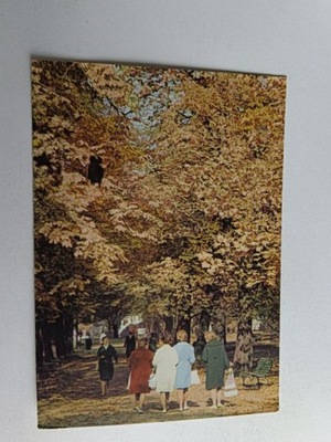 KRAKÓW PLANTY 30953 X