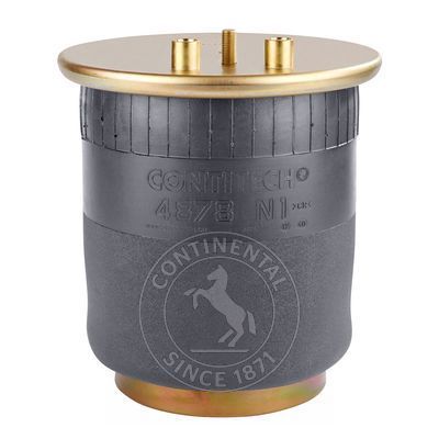 Пневмоподушка подушка підвіска 4878 n1 p01 фото №1