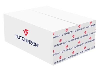 ALMOHADAS DEL MOTOR HUTCHINSON 586602  