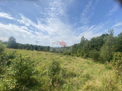 Działka, Rychwałd, Gilowice, Żywiecki, 3473 m²