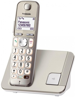 Telefon bezprzewodowy Panasonic KX-TGE210PDN
