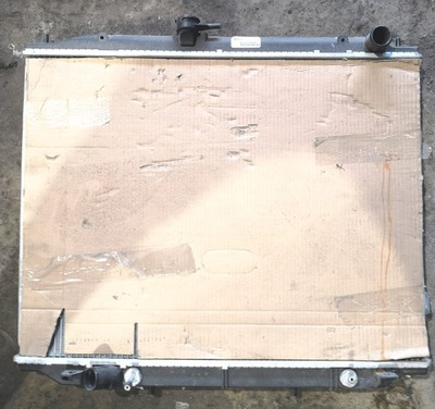 Nissan terrano 3.0d фото №1