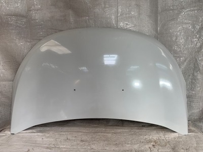 Dacia dokker lodgy капот фото №1