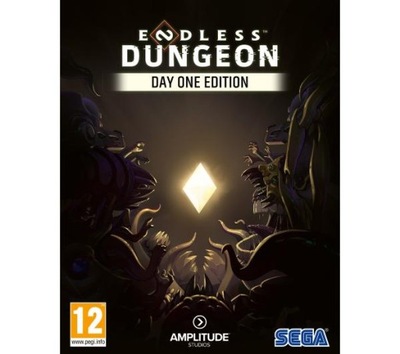 Gra na PC - Endless Dungeon - Edycja Day One