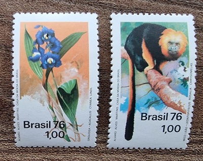 Fauna -Flora - Małpa - Brazylia