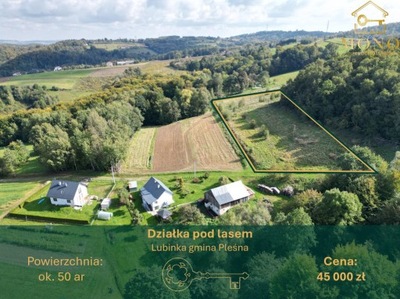 Działka, Lubinka, Pleśna, Tarnowski, 5000 m²