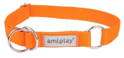 AmiPlay Obroża półzaciskowa SAMBA POMARAŃCZOWA XL