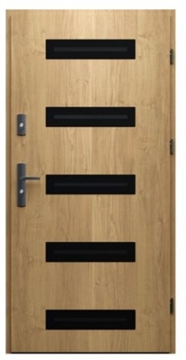 Drzwi stalowo-drewniane wejściowe Wikęd Prima wzór Glass Design GD03a