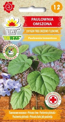 Paulownia Omszona Oxygen Tree-Drzewo Tlenowe