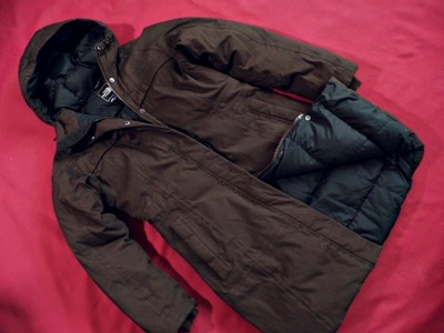 THE NORTH FACE ARCTIC PARKA:550 DOWN:M