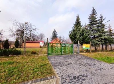 Dom, Kamienica, 65 m²