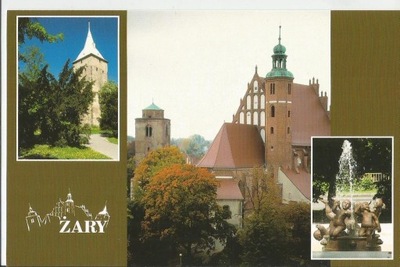 ŻARY