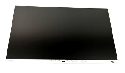 Monitor Fujitsu P2410T