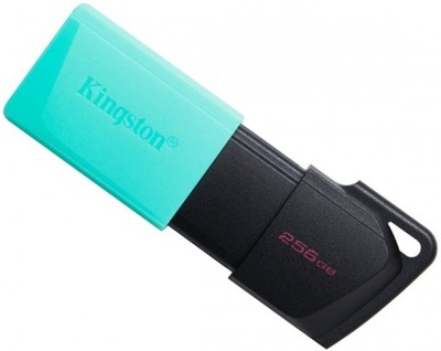 Kingston 256GB DataTraveler Exodia M USB 3.2 Gen 1