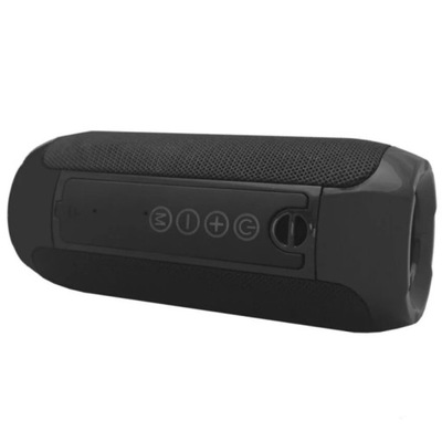 MANTA Głośnik Bluetooth SPK12GO czarny