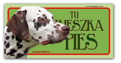 Dalmatyńczyk TABLICZKA NA DRZWI