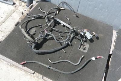 Джгут двигуна om113 mercedes gl ml 164 r w251 eu фото №1