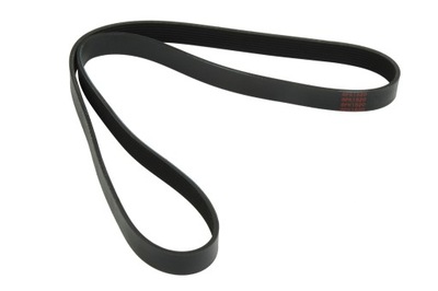 PASEK KLINOWY CAT 428F 428F2 432F 432F2 3900536